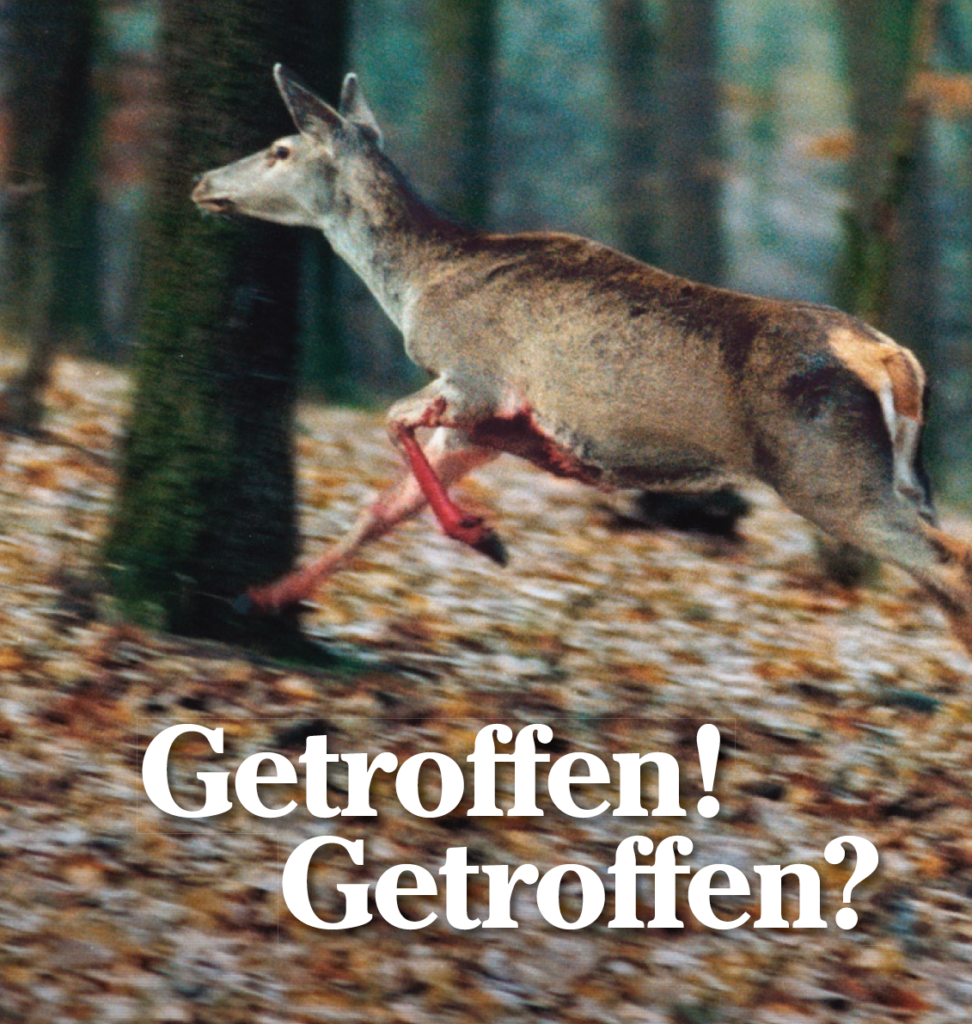 Rehkopf Rechts Wild Bock Jagd Bild Unikat auf über 100 Jahre altem Ziegel 703 